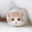 taifu's avatar